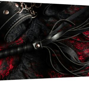 Wall Art Frame Gallery Wall Decor Handcuffs and a whip women's sexy underwear Modern Canvas Prints Artwork for Living Room Bedroom Office Kitchen 48x24Inch